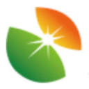 Bluesun Solar Co., Ltd. logo